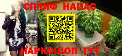 стафф Донецк