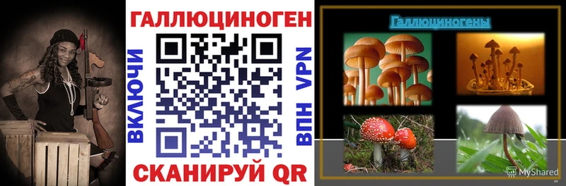 hydra зеркало Красноперекопск Псилоцибиновые грибы Magic Shrooms