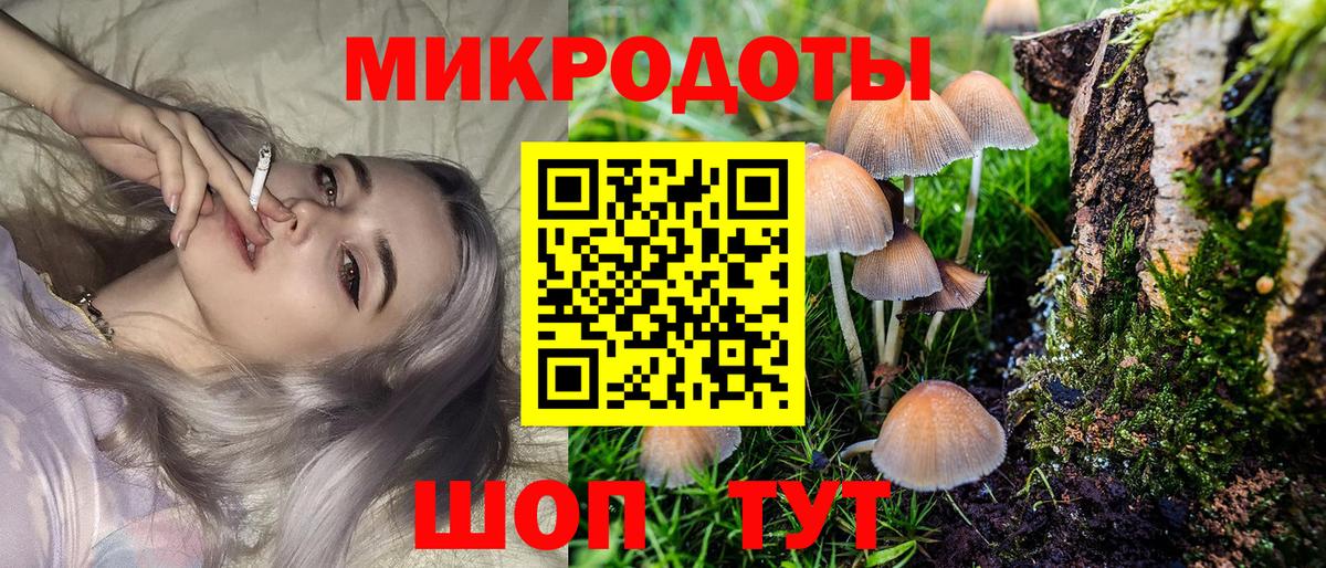 Псилоцибиновые грибы прущие грибы  Галлюциногенные грибы Psilocybe  Вход с VPN  Красноперекопск 