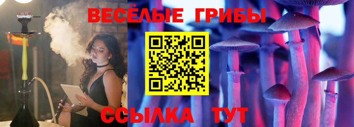 Псилоцибиновые грибы мухоморы Красноперекопск
